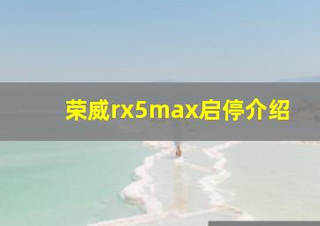 荣威rx5max启停介绍