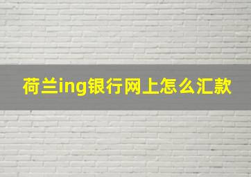 荷兰ing银行网上怎么汇款