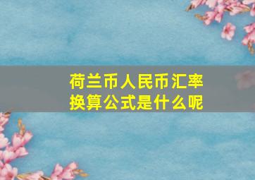 荷兰币人民币汇率换算公式是什么呢