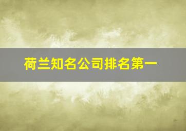 荷兰知名公司排名第一