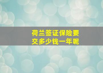 荷兰签证保险要交多少钱一年呢