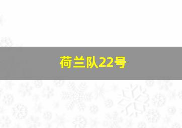 荷兰队22号