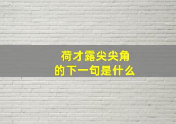 荷才露尖尖角的下一句是什么