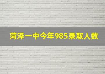 菏泽一中今年985录取人数