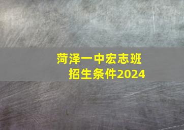 菏泽一中宏志班招生条件2024