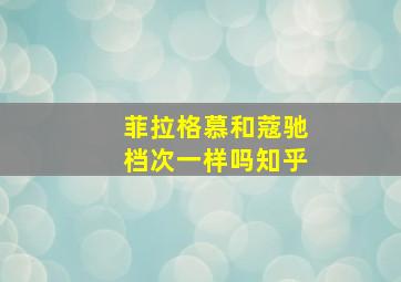 菲拉格慕和蔻驰档次一样吗知乎