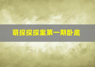 萌探探探案第一期卧底