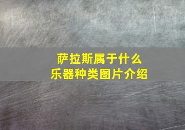 萨拉斯属于什么乐器种类图片介绍