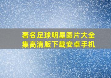 著名足球明星图片大全集高清版下载安卓手机