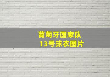 葡萄牙国家队13号球衣图片