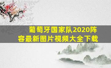 葡萄牙国家队2020阵容最新图片视频大全下载