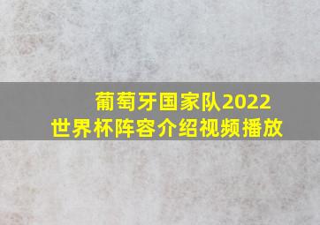 葡萄牙国家队2022世界杯阵容介绍视频播放