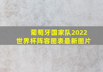 葡萄牙国家队2022世界杯阵容图表最新图片