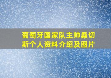 葡萄牙国家队主帅桑切斯个人资料介绍及图片