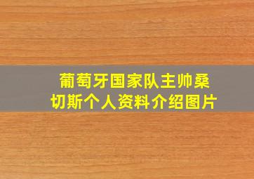 葡萄牙国家队主帅桑切斯个人资料介绍图片