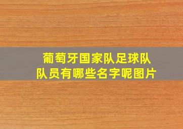 葡萄牙国家队足球队队员有哪些名字呢图片