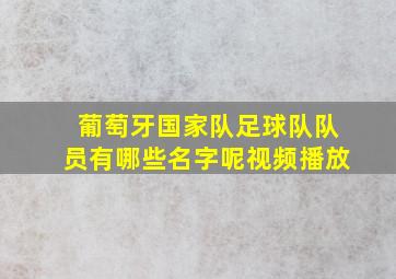 葡萄牙国家队足球队队员有哪些名字呢视频播放