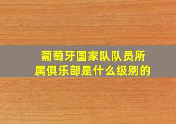 葡萄牙国家队队员所属俱乐部是什么级别的