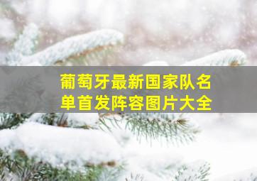 葡萄牙最新国家队名单首发阵容图片大全