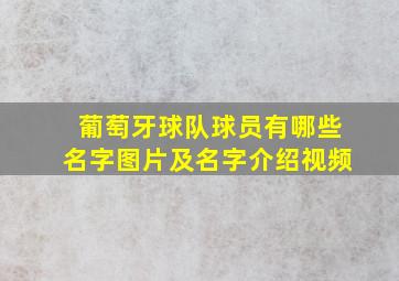 葡萄牙球队球员有哪些名字图片及名字介绍视频