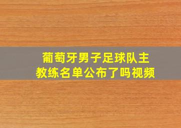 葡萄牙男子足球队主教练名单公布了吗视频