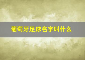 葡萄牙足球名字叫什么