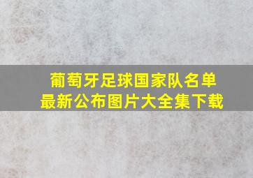 葡萄牙足球国家队名单最新公布图片大全集下载