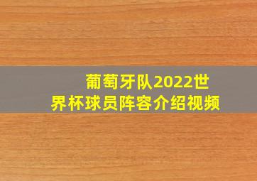 葡萄牙队2022世界杯球员阵容介绍视频