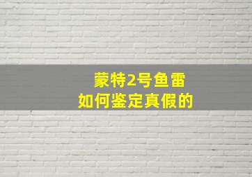 蒙特2号鱼雷如何鉴定真假的