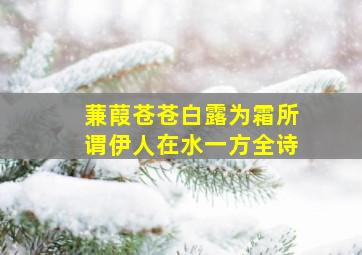 蒹葭苍苍白露为霜所谓伊人在水一方全诗