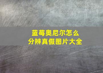 蓝莓奥尼尔怎么分辨真假图片大全