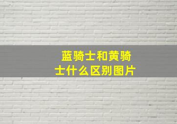 蓝骑士和黄骑士什么区别图片