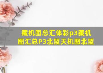 藏机图总汇体彩p3藏机图汇总P3北盟天机图北盟