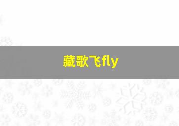 藏歌飞fly