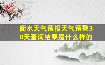 衡水天气预报天气预警30天查询结果是什么样的