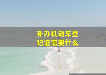 补办机动车登记证需要什么