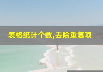 表格统计个数,去除重复项