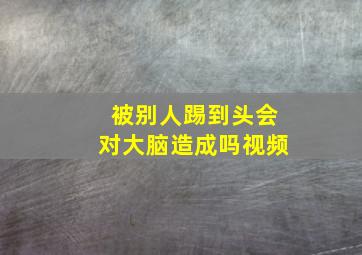 被别人踢到头会对大脑造成吗视频