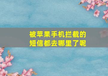 被苹果手机拦截的短信都去哪里了呢