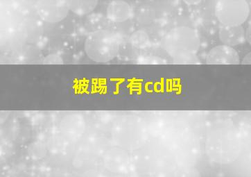 被踢了有cd吗