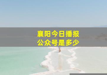 襄阳今日播报公众号是多少