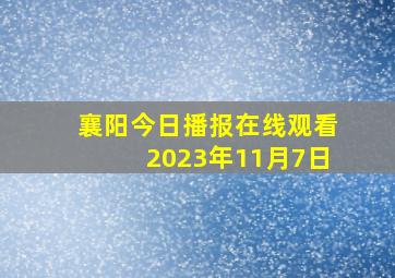 襄阳今日播报在线观看2023年11月7日