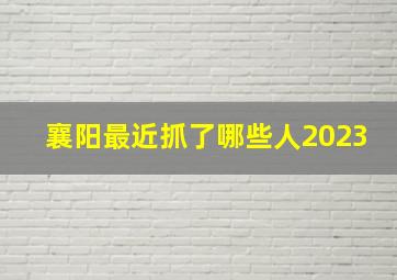 襄阳最近抓了哪些人2023