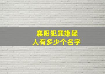 襄阳犯罪嫌疑人有多少个名字