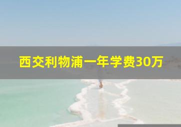 西交利物浦一年学费30万