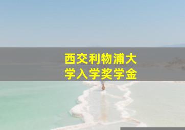 西交利物浦大学入学奖学金