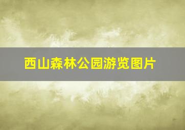 西山森林公园游览图片