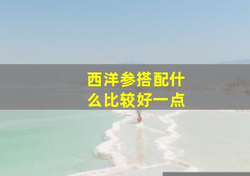 西洋参搭配什么比较好一点