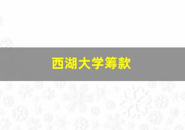 西湖大学筹款