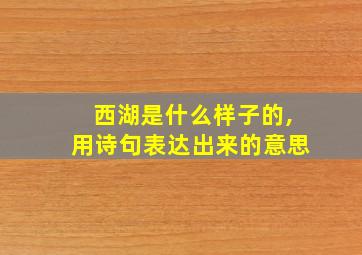 西湖是什么样子的,用诗句表达出来的意思